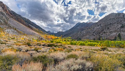 Fall colors in Bishop Creek