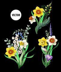 Daffoldils bouquets with wild  flowers isolated. Vector illustration