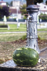 anguria messa a rifrescare sotto una fontanella