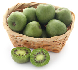 Actinidia arguta known as baby kiwi