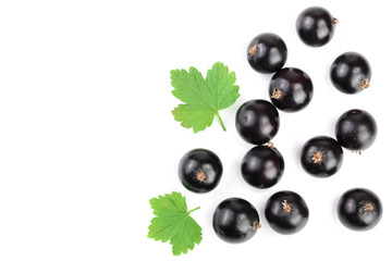 black currant with leaves isolated on white background with copy space for your text. Top view. Flat lay pattern