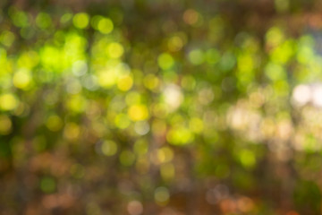 Obraz premium Background with green bokeh