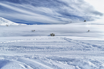 Fototapeta na wymiar Ski slope for free driving with fir-trees in snow