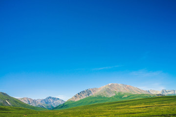 Fototapeta premium Giant mountains with snow above green valley under clear blue sky. Meadow with rich vegetation of highlands in sunlight. Amazing sunny mountain landscape of majestic nature.