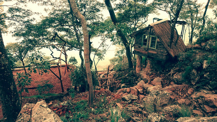 Mushroom Farm - Malawi - 2