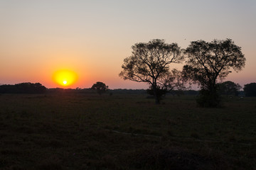 Sunrise from Pantanal, Brazil