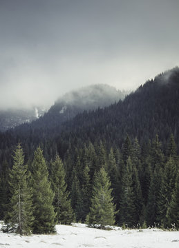Mountain landscape in winter