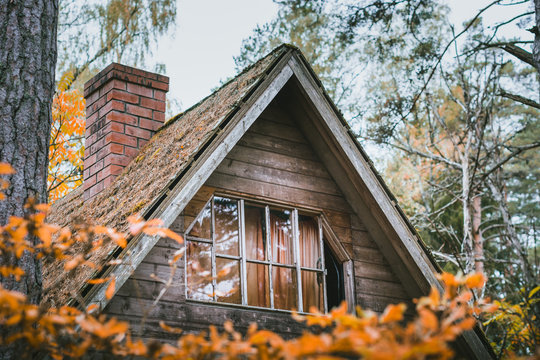 Abandoned Wooden House In Woods Surrounded By Plants. Cabin Hidden Beneath Pine Trees In Moody Autumn Colors. Roof Covered In Moss. 