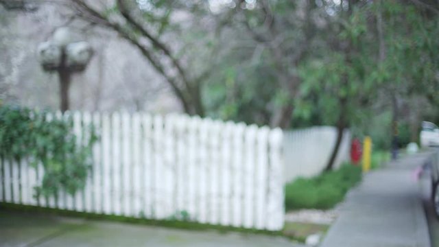 White picket fence with vines and leaves in suburbia