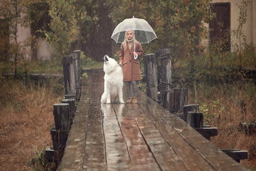 Fototapeta premium girl holding umbrella with samoyed dog