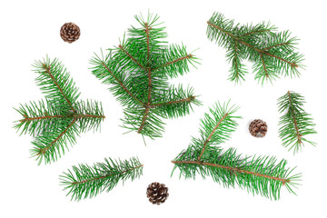 Fototapeta na wymiar Fir tree branch with cones isolated on white background. Christmas background. Top view