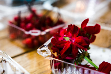Obraz na płótnie Canvas box with flowers and ribbon on red background