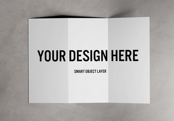 Trifold Brochure on Concrete Mockup