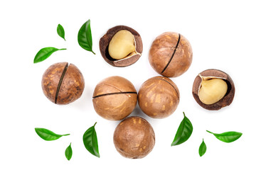 unshelled macadamia nuts isolated on white background. Top view. Flat lay pattern