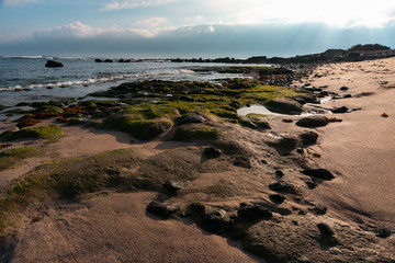 low tide strip taken from a low angle at dawn and a mountain in the clouds in the background