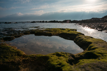morning on the ocean at low tide, green stones and smooth pools, reflecting the sky