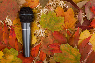 Microphone and autumn leaves. CONCEPT