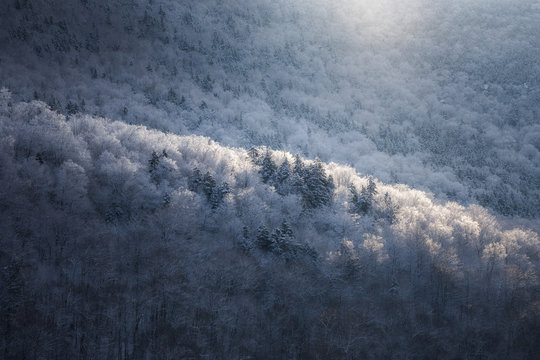 Snowglow