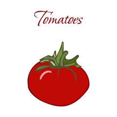 Illustration of Tasty Veggies. Vector Tomatoes Isolated on a White Background