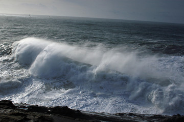 windy waves