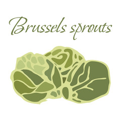 Illustration of Tasty Veggies. Vector Brussels sprouts Isolated on a White Background