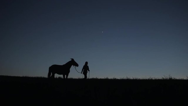 Silhouettes of a young girl holding a harness and walking a horse at night with the moon in the sky