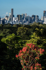 Fototapeta premium view of the city