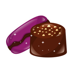 sweet chocolate bonbon and macaron