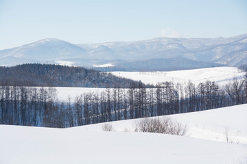 北海道の冬景色　美瑛町