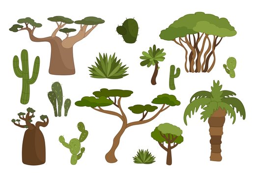 Vector set plants of Africa.