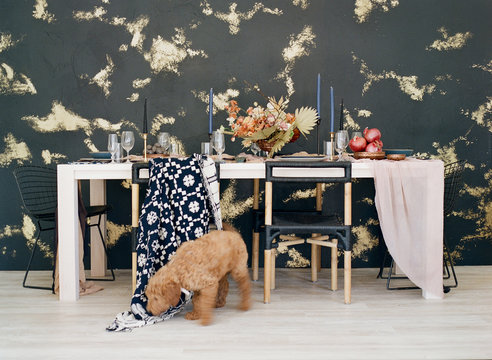 Modern Textured Wedding Details with puppy running