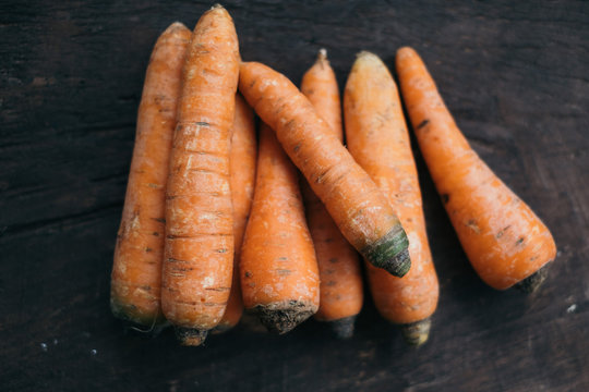 Carrots on black background