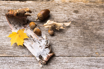  Autumn arrangement in warm tone with maple leaves lying on dry bark. All seen from above, it lies on old wooden boards. Flat-lay visualization with copy space. Table top view.