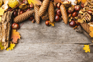 Autumn arrangement, concept still life with chestnuts, cones, acorns, leaves, bark on wooden background. Seasonal frame from autumn harvest. Flat-lay visualization with copy space. Table top view.