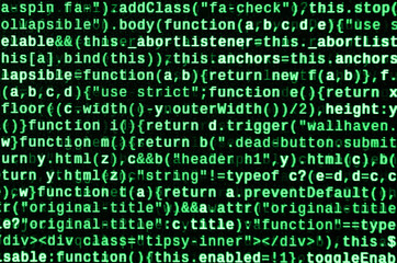 Computer program preview. Programming code typing. Information technology website coding standards...