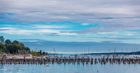 Old Pilings in Blue Hour