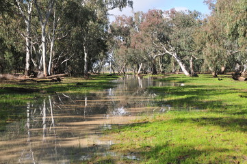 BILLABONG IN AUSTRALIA