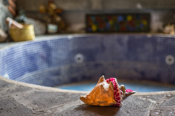 Spa Mexicano