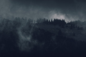 Dark mountain woods at night