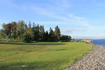 Green grass - 1 - Walking Tours in Canada