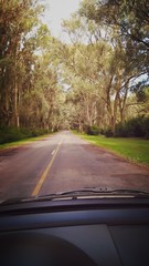 Fototapeta premium Campo-Naturaleza