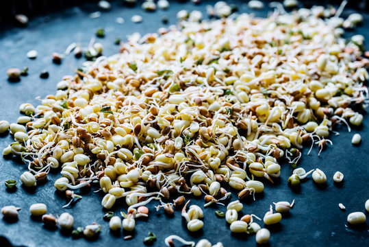 Micro green sprouts