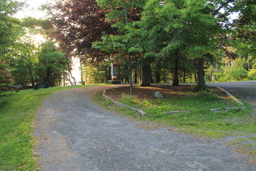 Trees and path4-Walking Tours in Canada