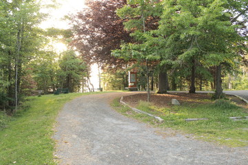Fototapeta na wymiar Trees and path5-Walking Tours in Canada