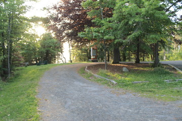 Trees and path6-Walking Tours in Canada