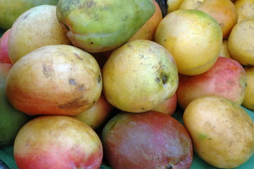 Mangues sur un marché, Burkina Faso, Afrique