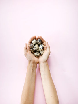 Crop hands holding pile of eggs