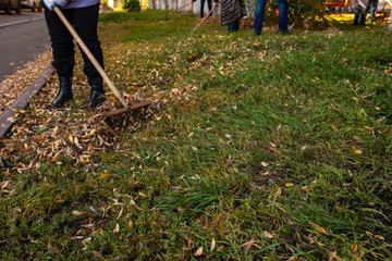 Cleaning of the territory from leaves in autumn. people with brooms, rakes and bags