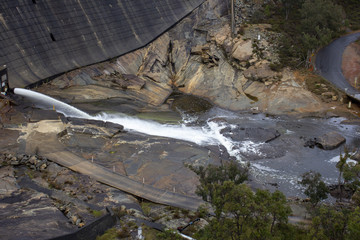 stream in the forest