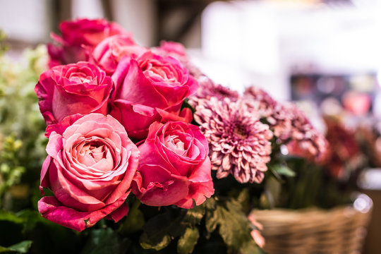 Rote rosen, Blumen, Blumenstraus, Liebe, schenken